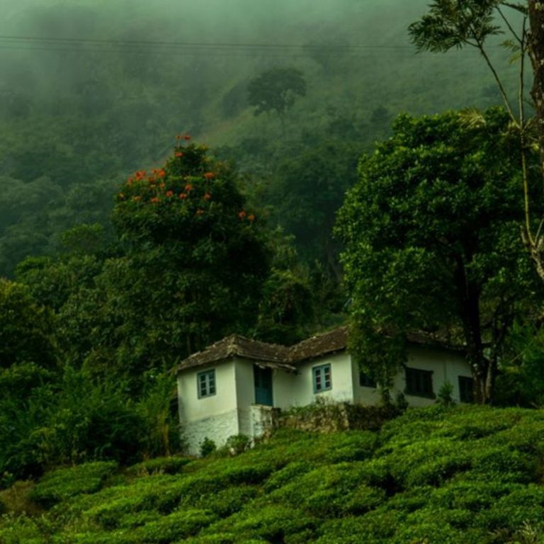 K_Munnar