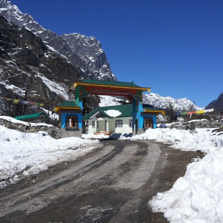 S Lachung